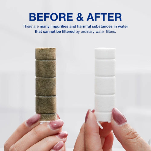 SEASEE 10-Months Jet Bidet Filter