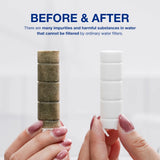 SEASEE Jet Bidet Filter for Toilet