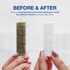 SEASEE Jet Bidet Filter for Toilet